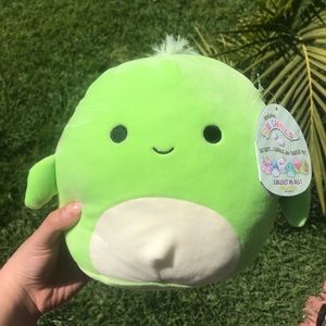 Squishmallow Turtle Herb 8inch